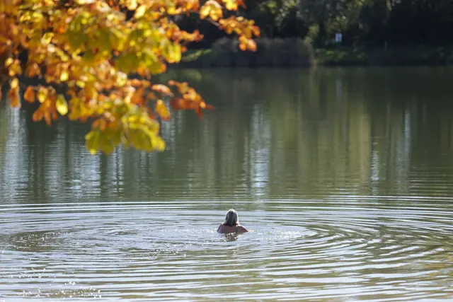 Sommergefühle im Herbst in Baden-Württemberg.  | Foto: Thomas Warnack/dpa