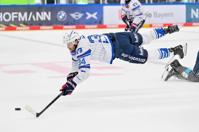 Nach einem Foul des Ingolstädters Daniel Pietta wirbelt Adler-Stürmer Tom Kühnhackl durch die Luft. | Foto: Traub/PIX-Sportfotos