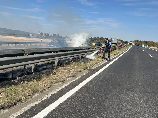 Auf der A65 bei Neustadt an der Weinstraße brannten Äste und Buschwerk auf dem Mittelstreifen. Polizei und Feuerwehr löschten den Brand, ein Fahrstreifen war kurz gesperrt und es bildete sich Rückstau. | Foto: Polizeidirektion Landau