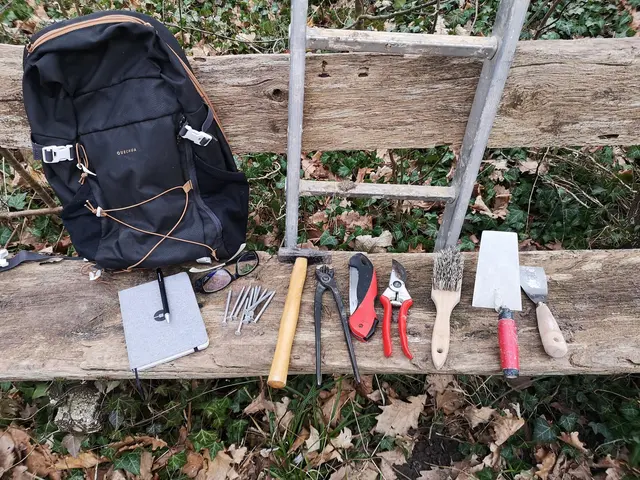 Nistkästen brauchen nach der Brutsaison Pflege. Der NVS erklärt, worauf dabei zu achten ist. | Foto: NVS