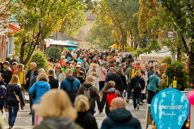 Zum Herbstspektakel und zum verkaufsoffenen Sonntag füllt sich die Frankenthaler Innenstadt. | Foto: Stadt Frankenthal
