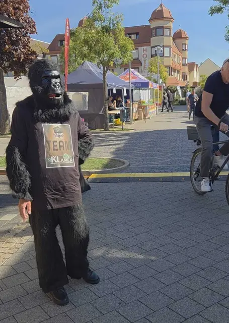 ... Wo geht es in den Jungel? 

Der Gorilla hilft!  | Foto: Gorilla Familie 