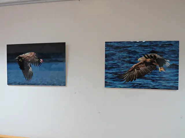 Foto: Brigitte Melder