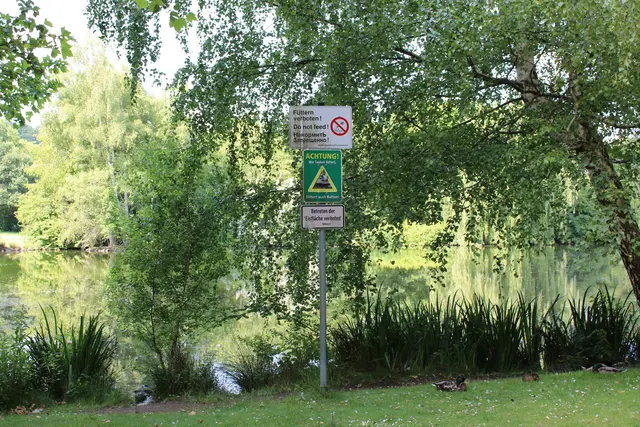 Nicht zu übersehen: Das "Füttern verboten"-Schild am Rand des Schwanenweihers | Foto: Monika Klein