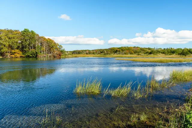 Vier Holzsperren sollen das Wasser im Rastatter Bruch länger im Moor halten. (Symbolfoto) | Foto: alpegor/stock.adobe.com