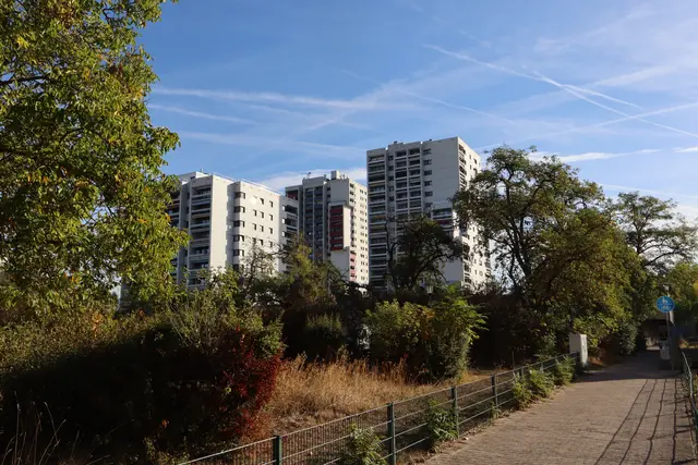 Die Trabantenstadt im Süden Frankenthals wurde nach dem Leitbild aus den 60ern durchgrünt, um für Menschen aus allen Schickten möglichst wirtschaftlich und schnell gesunde, belichtete Wohnverhältnisse zu ermöglichen. Entsprechend viel Platz ist für Verdichtung des Baumbestands. | Foto: JG