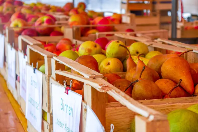 Wenn der Wochenmarkt wegen eines Feiertags vorverlegt wird, lohnt sich ein Blick auf den Termin. | Foto: Stadt Landau