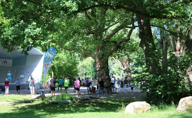 Vielseitig genutzt: In den Sommermonaten gibt es sonntags die bekannten Volksparkkonzerte, darüber hinaus aber auch weitere kulturelle oder sportliche Angebote | Foto: Monika Klein