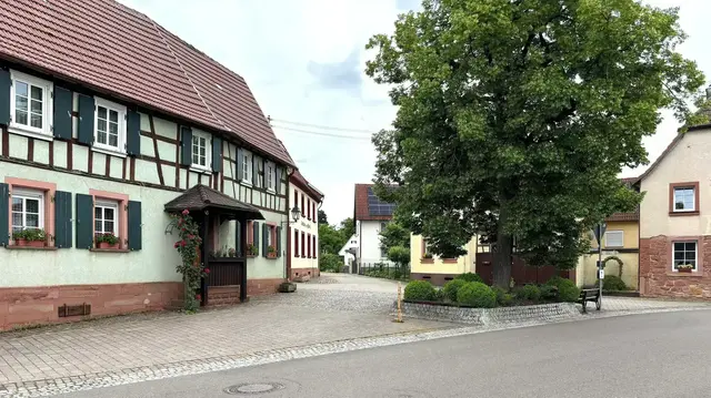 Weinfest und Bauernmarkt Dierbach 2026: Das Federweißenfest steht bevor. Dann laden Winzerhöfe und Marktstände zum Herbstbummel ein.  | Foto: Thorsten Kornmann