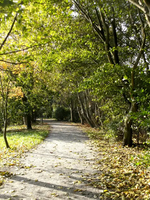 Foto: AHPB Donnersberg-Ost