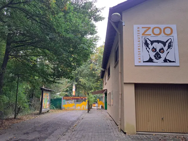 In den Herbstferien 2026 gibt es in Kaiserslautern viele Mitmach-Angebote für Kinder und Jugendliche, von Theater bis Zoo  | Foto: Monika Klein