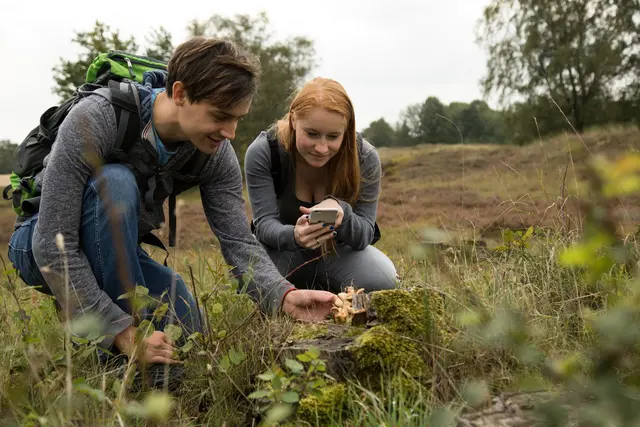 Sorgfalt statt Risiko: Pilze sollten nur nach einer sicheren Bestimmung durch Sachkundige verzehrt werden. | Foto: Christin Klose/dpa/dpa-mag