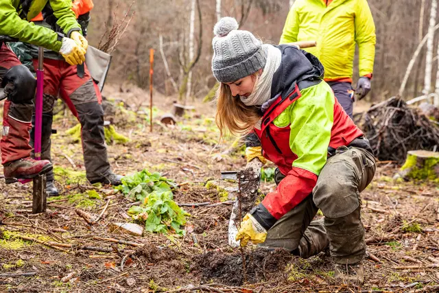 Tatkräftig im Einsatz: In den Herbstferien entsteht am Waldrand ein neuer Infopfad | Foto: Landesforsten.RLP.de/ J. Fieber/gratis