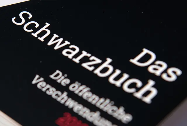 Jedes Jahr betrachtet der Bund der Steuerzahler in seinem Schwarzbuch 100 Fälle aus ganz Deutschland, bei denen er Steuerverschwendung sieht. (Symbolbild) | Foto: Ralf Hirschberger/dpa-Zentralbild/dpa