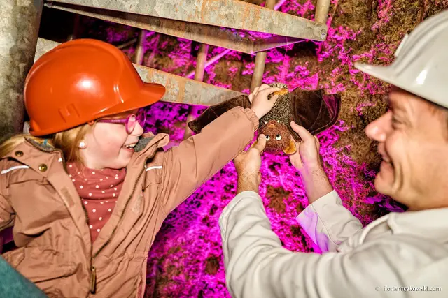 Beim Saisonausklang in Imsbach gibt es Führungen durch die Grube Maria, geöffnete Museumstüren und eine neue Familien-Tour. | Foto: Florian Trykowski, Donnersberg-Touristik-Verband e.V.