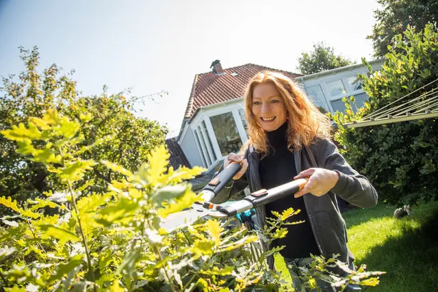 Es darf wieder gestutzt werden – aber bloß nicht ungefragt die Hecke vom Nachbarn mitschneiden. | Foto: Christin Klose/dpa-mag