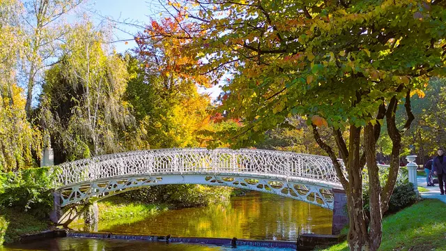 Im Herbst bietet die Natur ganz besondere Reize | Foto: Heike Schwitalla