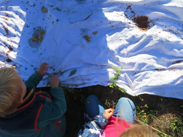 Bei der Waldwoche der katholischen Kita Wernersberg erkundeten die Kinder die Natur, bauten ein Waldlager und gestalteten Kunstwerke aus Naturmaterialien. | Foto: Kath. Kita Wernersberg