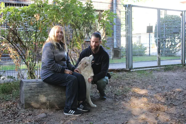 Hundetrainerin Manuela Habermann (links) und Lukas Walter, Geschäftsführer des Tierheims, mit Pino im Schnüffelgarten. Der Vierbeiner hat durch das Huko-Projekt so gute Fortschritte gemacht, dass er für die Vermittlung bereit ist | Foto: Monika Klein