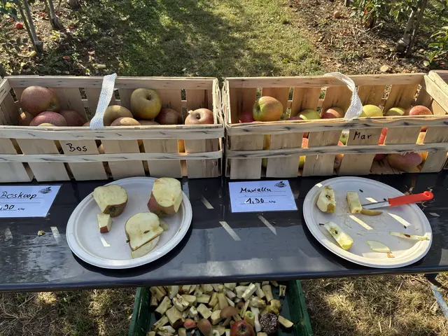 Foto: amue