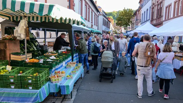 Dichtes Gedränge in der Altstadt: Das Keschdefeschd lockte am Samstag Tausende Besucher nach Annweiler. | Foto: Erik Stegner