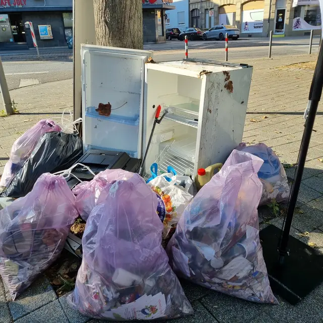 Foto: Stadtfüchse LU-Süd/Mundenheim