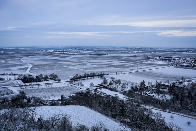 Bild 9: Blick von Battenberg in die winterliche Rheinebene | Foto: Maya Tannouri