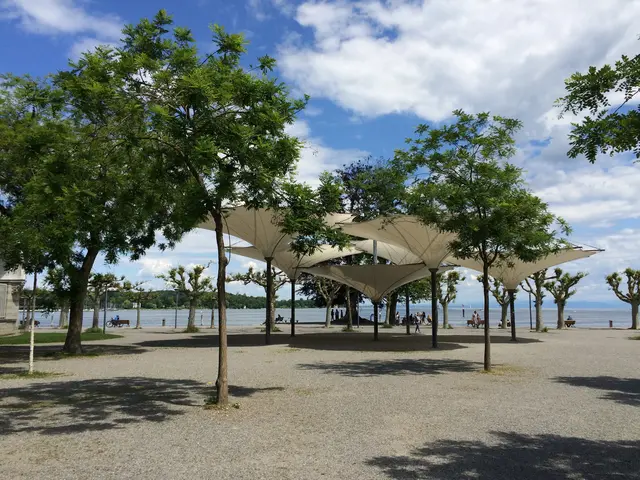 Bild 7: Stadtgarten Konstanz | Foto: Birgit Kaul