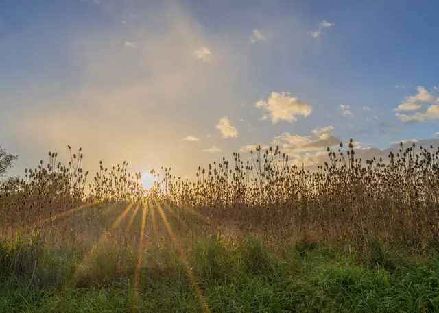 Bild 19: Lichtstimmung bei Hochstadt. | Foto: Hans Werner Merzhäuser