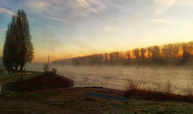 Bild 7: Nebel und Sonnenaufgang am Rheinufer bei Speyer | Foto: Anita Lemmert
