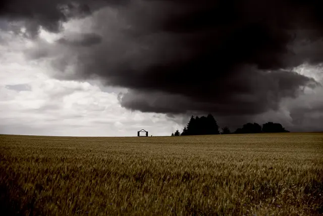 Bild 4: Fenster der Natur. Carlsberg. | Foto: Kathrin Volz-Wollbold