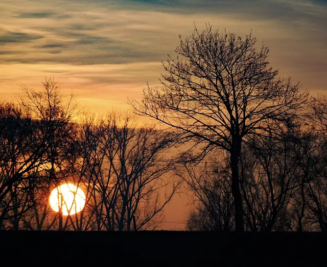 Bild 12: „Silhouette“
Diesen wunderbaren Sonnenuntergang hielt ich bei Rheindürkheim fest. Die „nackten“ Bäume sind lediglich als Silhouetten sichtbar. 
Einfach eine tolle Stimmung. | Foto: Alexander Meier