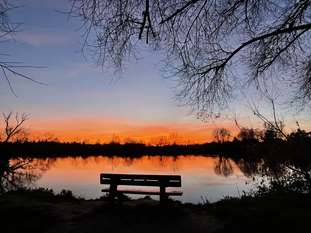 Bild 16: Sonnenuntergang am Neckar bei Ladenburg | Foto: Claudia Scheibel