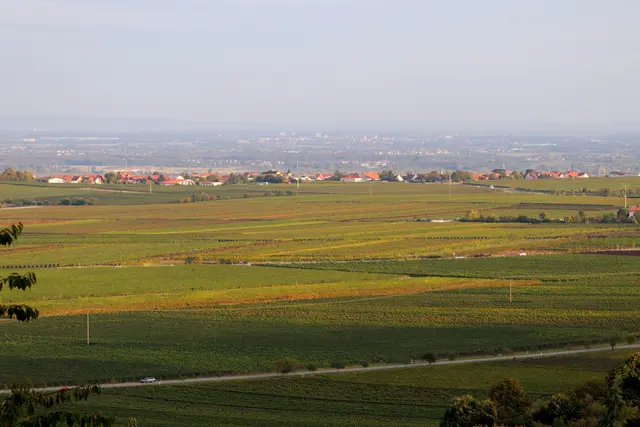 Bild 16: Blick auf die Rheinebene von Battenberg | Foto: Maya Tannouri