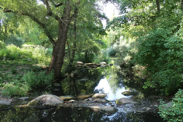 Bild 6: Mannheim Luisenpark | Foto: Birgit Kaul