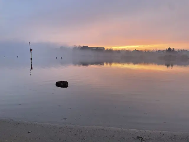 Bild 4: Nebel über dem Neckar am Ladenburger Strand | Foto: Claudia Scheibel