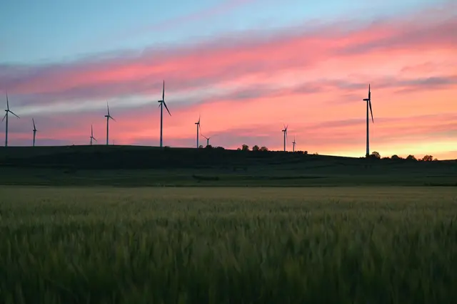Bild 11: Kornfelder &amp; Windräder inmitten des Sonnenuntergangs bei Bockenheim. | Foto: Katrin Scherr