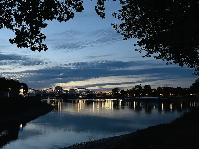 Bild 16: Abendspaziergang auf der Parkinsel in Ludwigshafen | Foto: Diana Mayer
