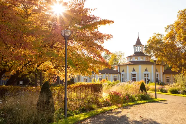 Bild 16: Herbstlicher Blick auf das Turmrestaurant im Ebertpark, Ludwigshafen | Foto: Erik Patzschewitz