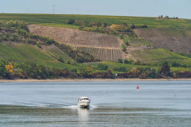 Heiter bis sonnig wird der Dienstag in Rheinland-Pfalz und dem Saarland. (Symbolbild) | Foto: Andreas Arnold/dpa