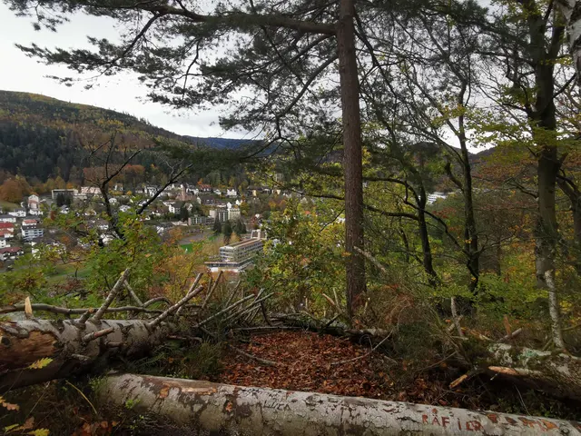 Nordschwarzwald - Ausblick auf Bad Herrenalb | Foto: Heike Schwitalla