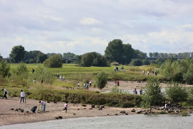 Clean-up Aktion am Rhein
