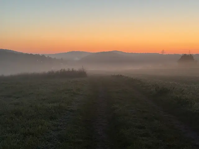 Bild 10: Oberhalb Otterberg bei Sonnenaufgang | Foto: Anja Ibach