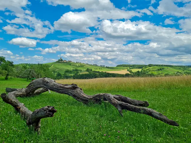 Bild 12: Burg Ravensburg bei Sulzfeld | Foto: Robert Müller