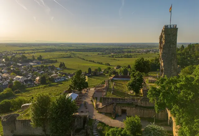 Bild 22: Die Wachtenburg in Wachenheim/Weinstraße. | Foto: Volker Fleckser