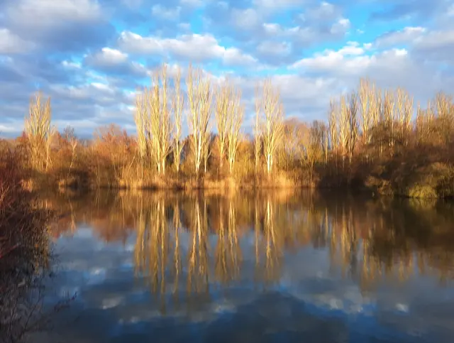 Bild 7: Abendlicht am Rohrlachweiher in Fußgönheim | Foto: Torsten Kerbeck