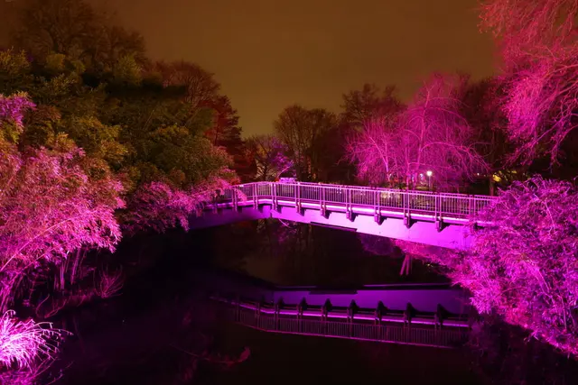 Bild 8: Winterlichter Luisenpark | Foto: Kirsten Löffler