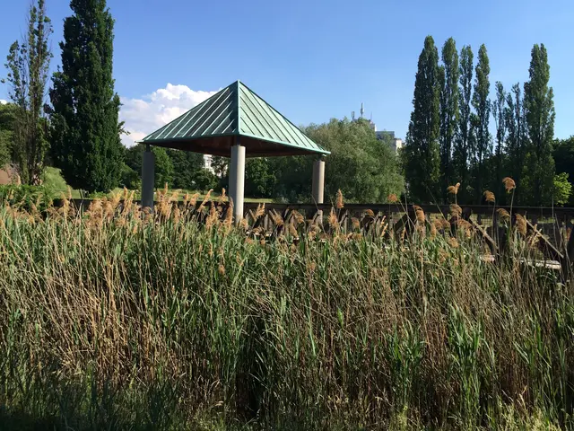 Bild 5: Seepark Freiburg-Betzenhausen | Foto: Birgit Kaul