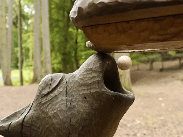 Bild 12: „Mahlzeit“
Dieses Bild entstand an der wundervoll im Wald gelegenen Kugelbahn bei Wolfstein. Ein toller Ort für die ganze Familie zum Toben, Erkunden, Genießen und Spielen. | Foto: Alexander Meier