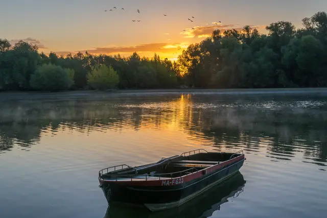 Bild 17: Sonnenaufgang am Altrhein bei Otterstadt | Foto: Volker Fleckser